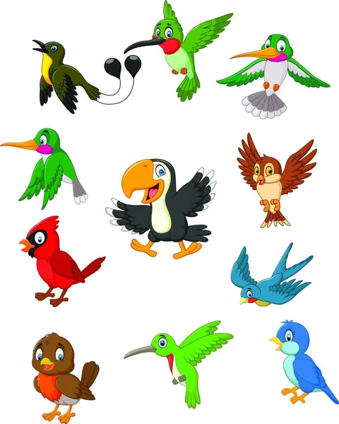 Cartoon Vögel Sammlung Set — Stockvektor