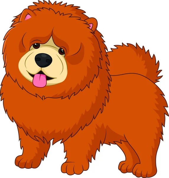 Chow Chow Raza Perro — Archivo Imágenes Vectoriales