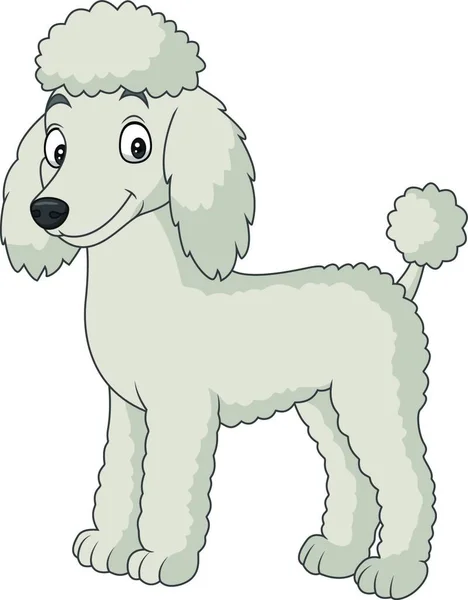 Мультфильм Пудель Собака Изолированы Белом Фоне — стоковый вектор