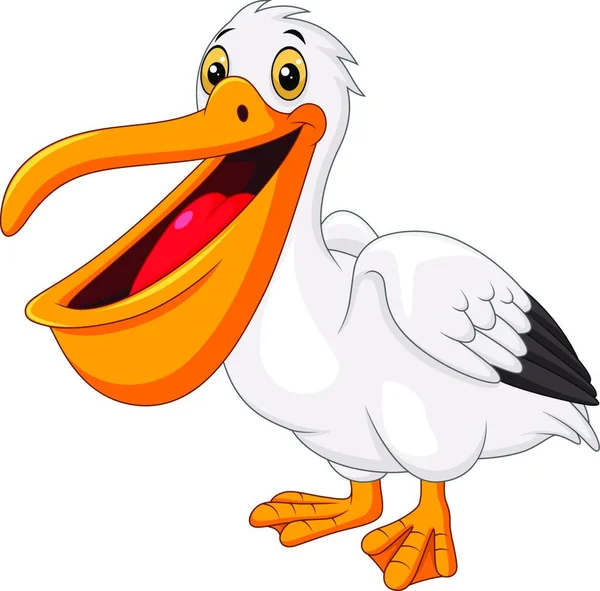 Desenhos Animados Pelicano Isolado Fundo Branco — Vetor de Stock