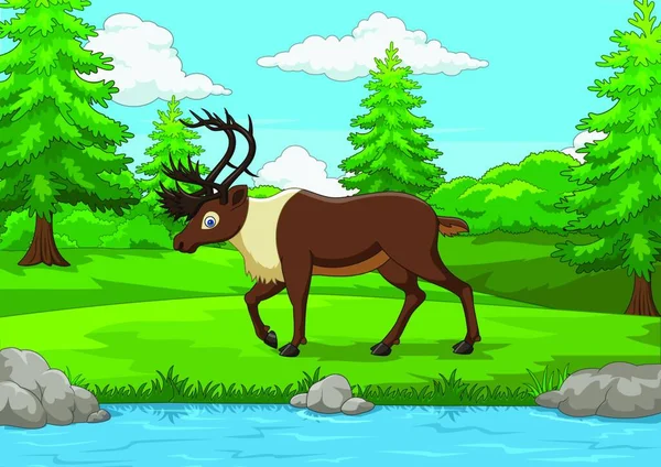 Cartoon Eland Het Bos — Stockvector