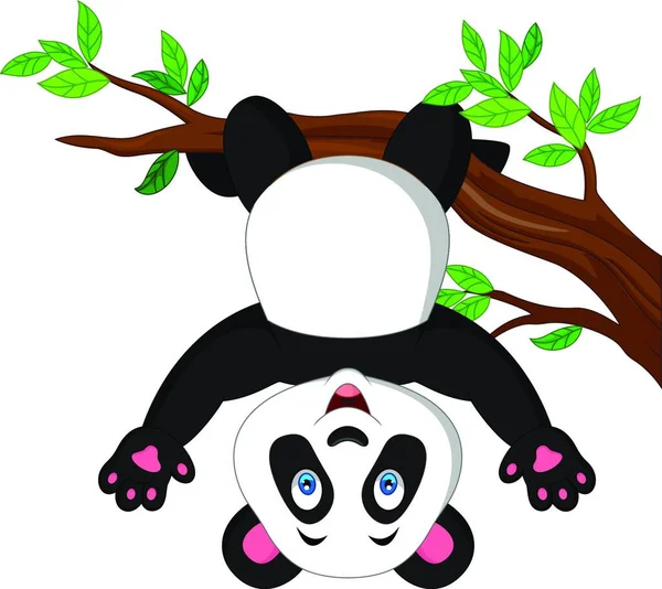 Karikatura Panda Visící Větvi Stromu — Stockový vektor
