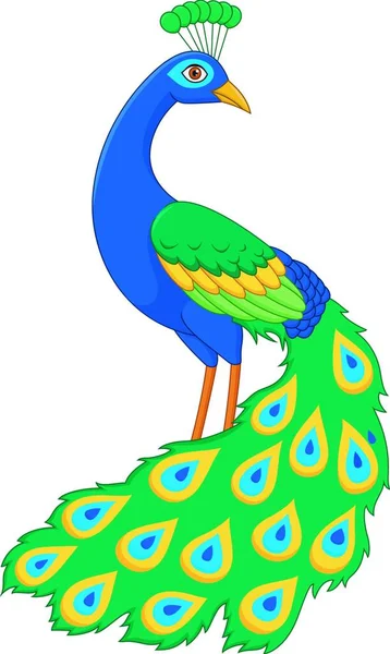 Cartoon Funny Peacock Vector Illustration — Stock Vector