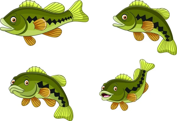 Cartoon Lustige Barsch Fisch Sammlung Isoliert Auf Weißem Hintergrund — Stockvektor