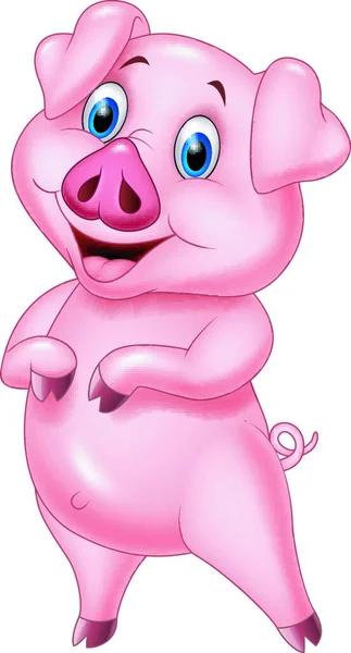 Cartoon Schwein Posiert Auf Weißem Hintergrund — Stockvektor