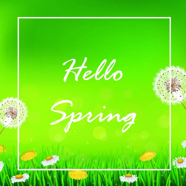 Beautiful Spring Summer Season Nature Background — Stock Vector