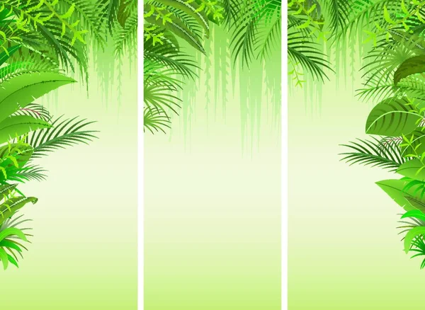 Ensemble Trois Fonds Forêt Tropicale — Image vectorielle