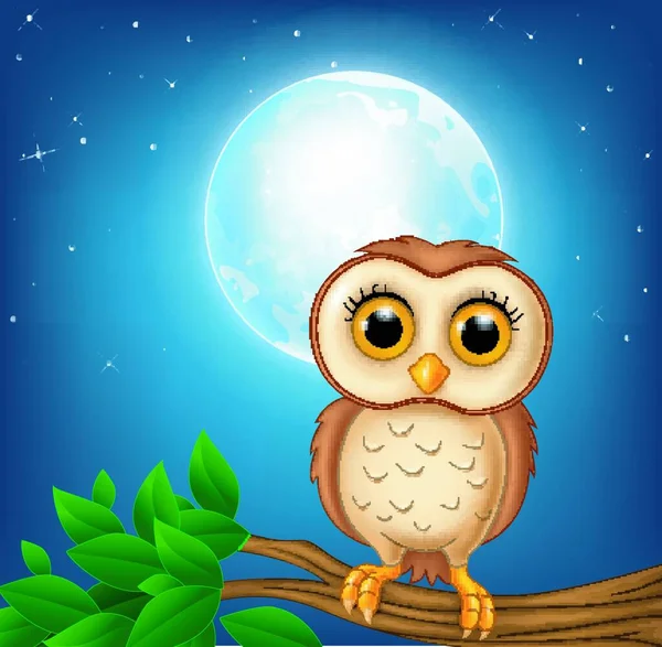 Cartoon Owl Tree Branch — Stock Vector