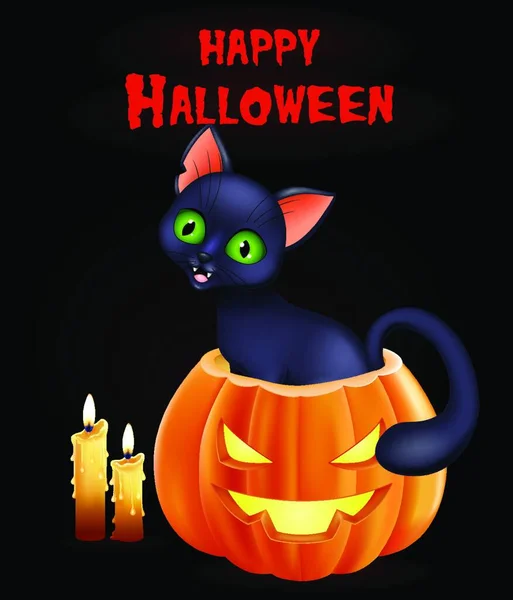 Halloween Background Cat Sitting Pumpkin — Stock Vector