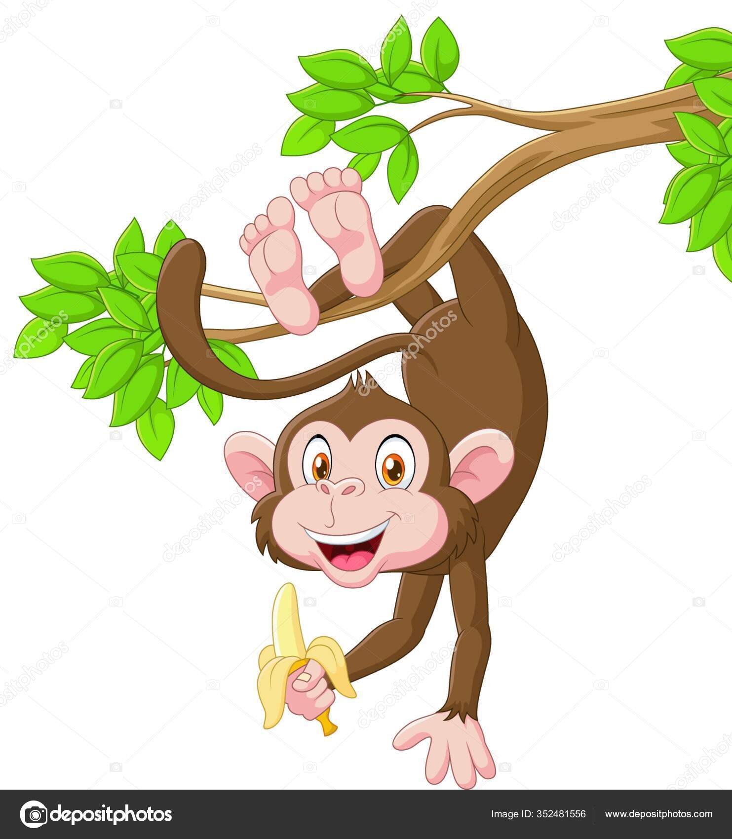 Macaco de desenho animado na árvore e polegar para cima
