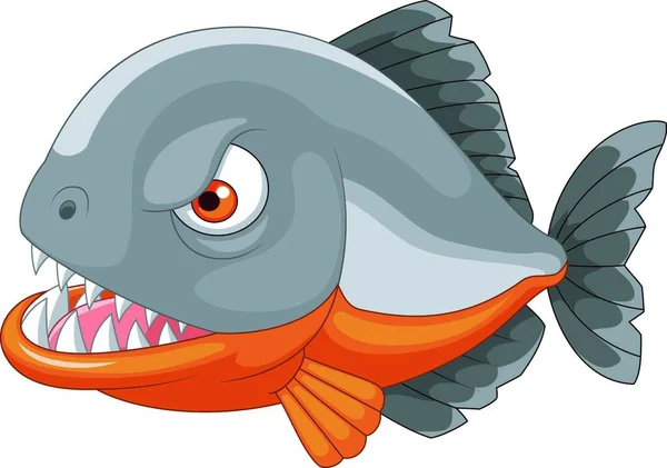 Piranha Karikatur Auf Weißem Hintergrund — Stockvektor