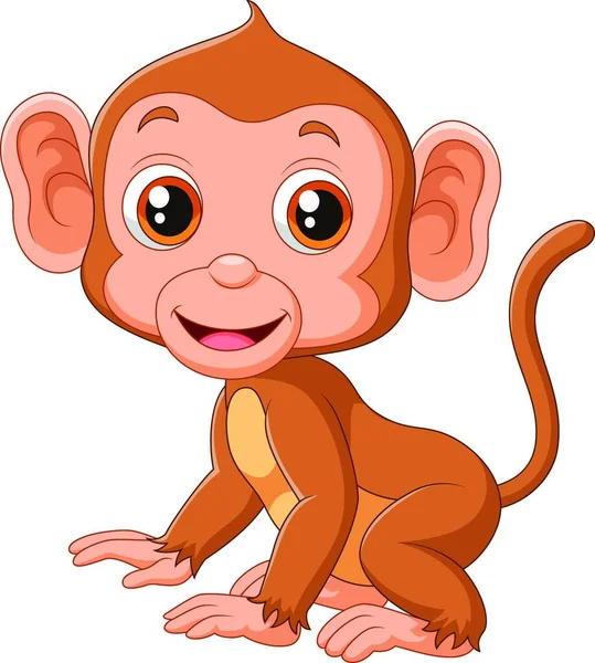 Maymun Memeli Gruplarına Veya Türlerine Atıfta Bulunan Yaygın Bir Isimdir — Stok Vektör