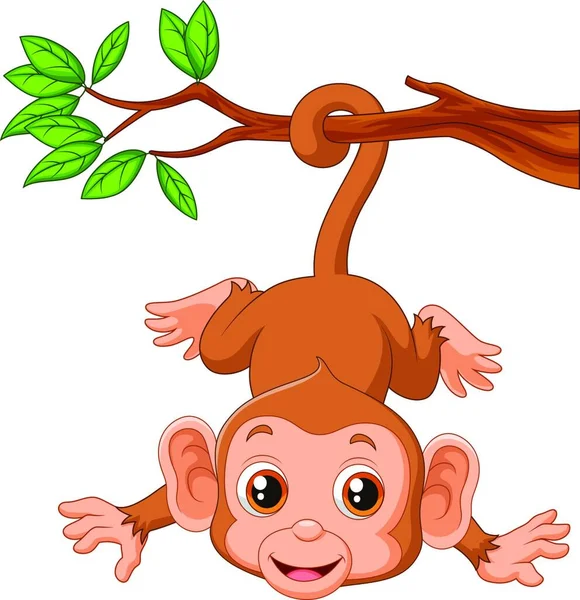 Roztomilá Opice Visící Stromě — Stockový vektor