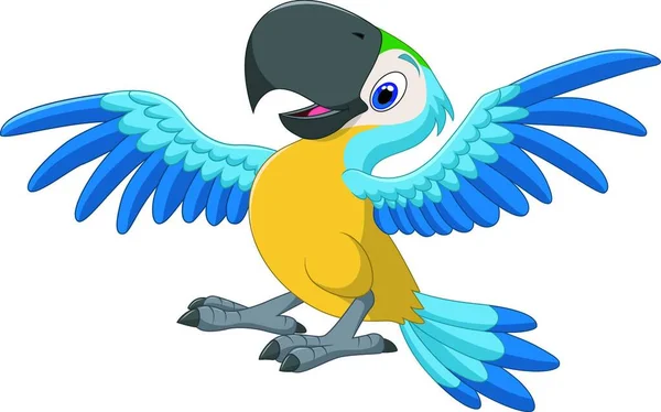 Närbild Vackra Macaw Papegoja — Stock vektor