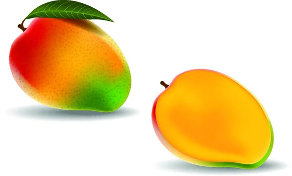 Verse Mango Geïsoleerd Witte Achtergrond — Stockvector