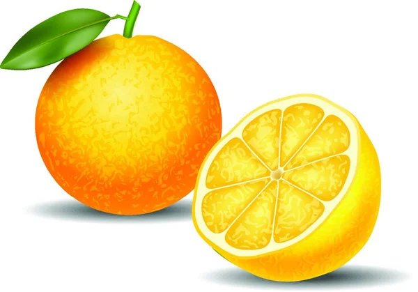 新鲜柠檬 白色底色分离 — 图库矢量图片