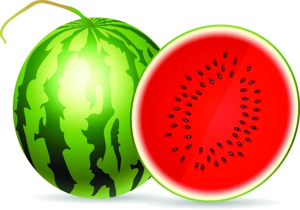 Frische Wassermelone Isoliert Auf Weißem Hintergrund — Stockvektor