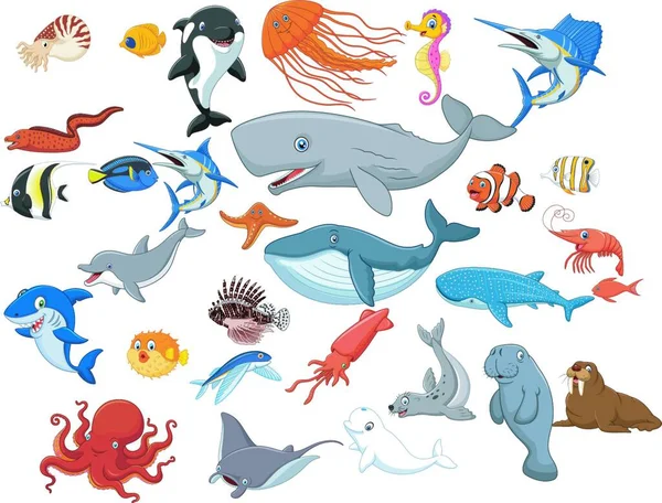 白い背景に隔離された漫画の海の動物 — ストックベクタ