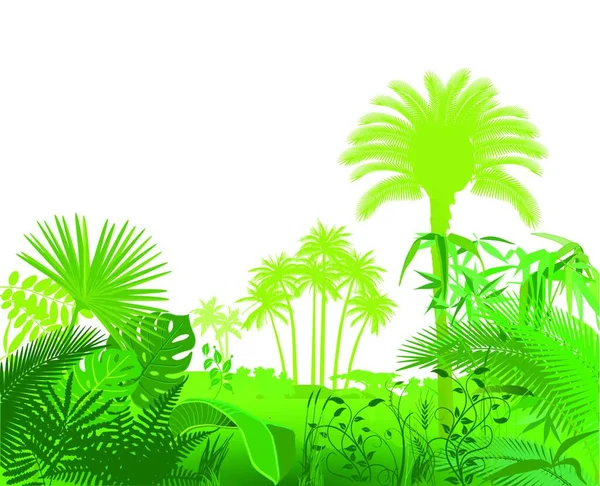 Illustration Tropischer Exotischer Pflanzen — Stockvektor