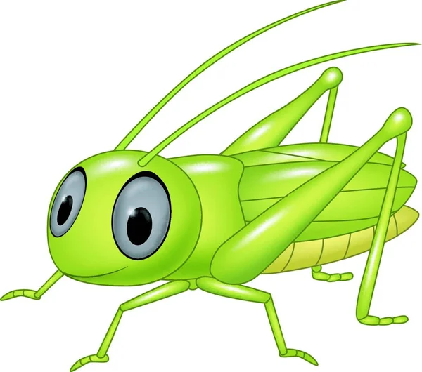 Cute Grasshopper Posing Isolated White Background — Stock Vector