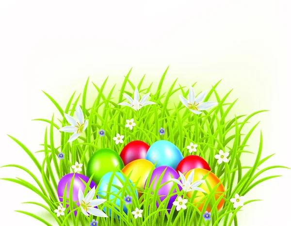 Beautiful Collection Easter Eggs Grass Background — Stock Vector