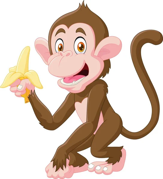 Cartoon Engraçado Macaco Segurando Banana Isolada Fundo Branco —  Vetores de Stock