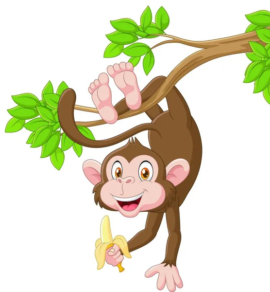 Cartone Animato Scimmia Felice Appeso Tenendo Banana — Vettoriale Stock