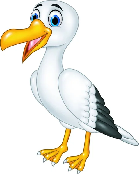 Cartoon Funny Seagull Posing Isolated White Background — Stock Vector