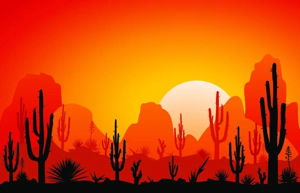 Ηλιοβασίλεμα Στην Έρημο Σιλουέτες Από Πέτρες Κάκτους Και Φυτά Τοπίο — Διανυσματικό Αρχείο
