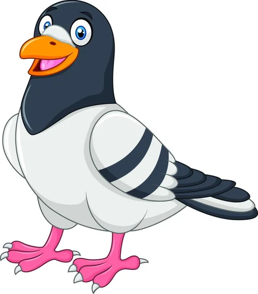 Pigeon Drôle Carton Isolé Sur Fond Blanc — Image vectorielle