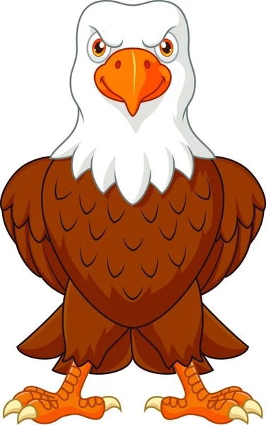 Cartoon Bald Eagle Posing Isolated White Background — Stock Vector