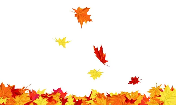 Autumn Copy Space Frame Maple Leaves — Stock Vector