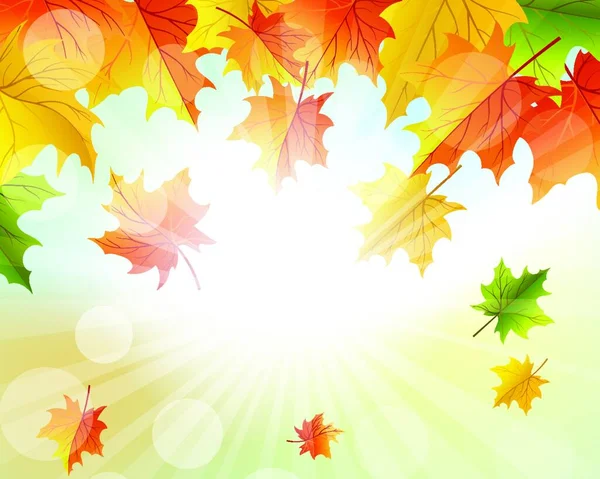 Autumn Frame Falling Maple Leaves Sky Background Elegant Design Rays — Stock Vector