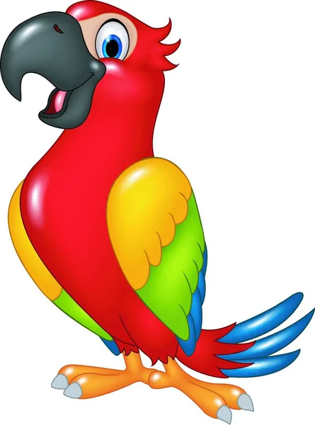Karikatura Legrační Papoušek Izolované Bílém Pozadí — Stockový vektor