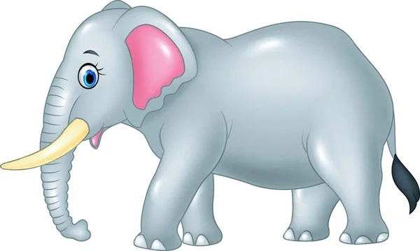 Cartoon Elefante Mascotte Isolato Sfondo Bianco — Vettoriale Stock