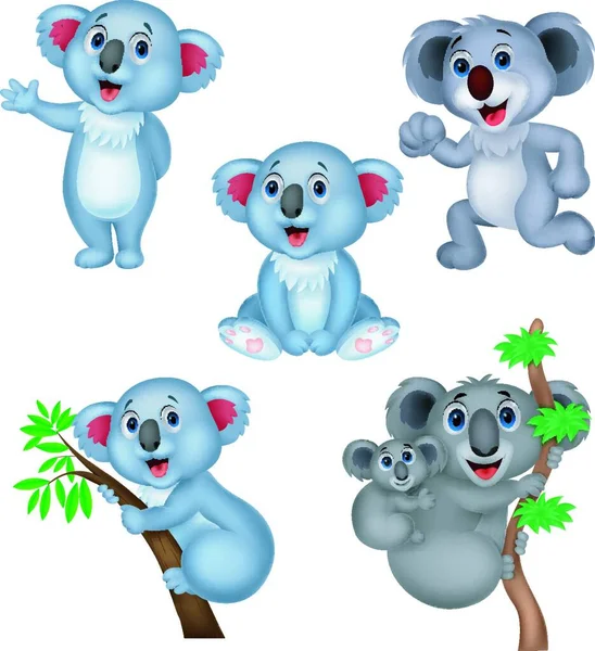 Cartoon Koala Collection Set — Stock Vector