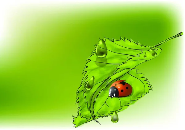 Blätter Und Marienkäfer Auf Grünem Hintergrund — Stockvektor