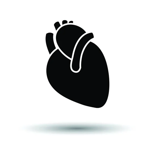 Икона Человеческого Сердца Белый Фон Теневым Дизайном Векторная Иллюстрация — стоковый вектор