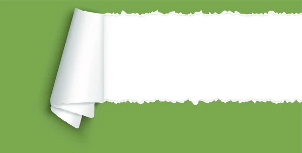 Carta Aperta Strappata Colore Verde Con Ricciolo Carta Spazio Testo — Vettoriale Stock