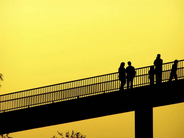 Dsseldorf City Western Germany — Stock Photo, Image