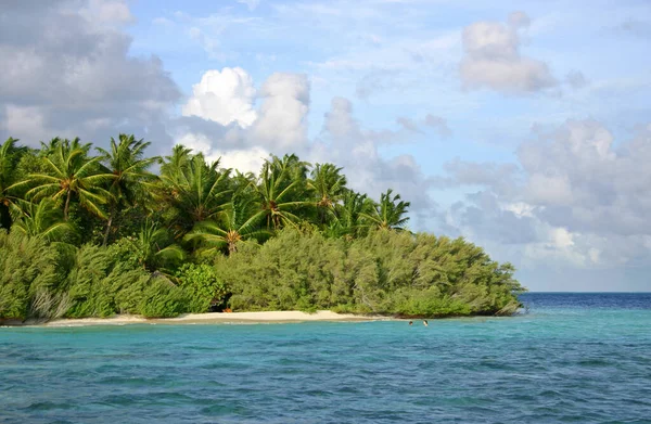 ヤシの木と青い空を持つ熱帯ビーチ — ストック写真