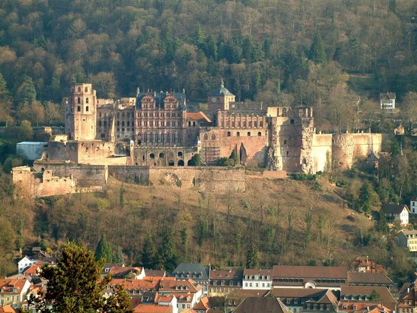 Heidelberg Una Città Sul Fiume Neckar Nel Sud Ovest Della — Foto Stock