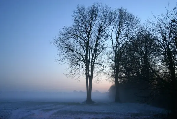 Magia Invernale Natura Innevata — Foto Stock