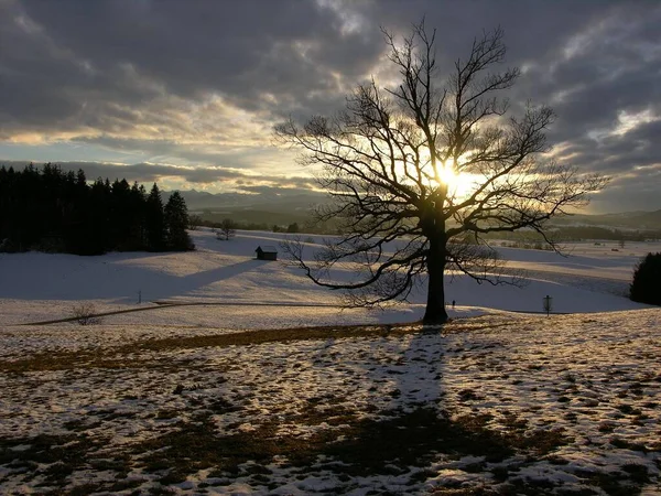 Vista Una Scena Invernale — Foto Stock