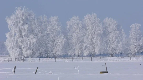 Vista Panorámica Del Paisaje Invernal — Foto de Stock