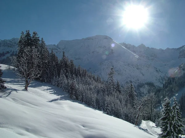 Bunter Hintergrund Für Weihnachten Oder Neujahr Urlaubskarte — Stockfoto