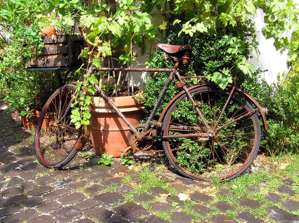 Bicicleta Velha Parque — Fotografia de Stock