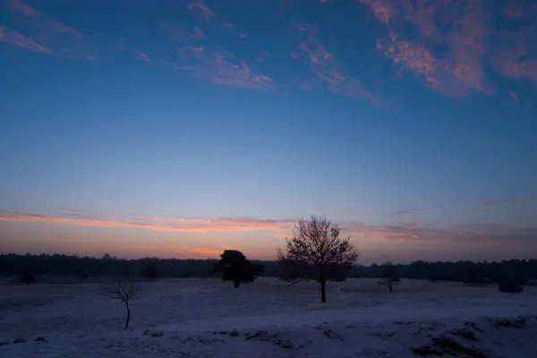 Vista Uma Cena Inverno — Fotografia de Stock