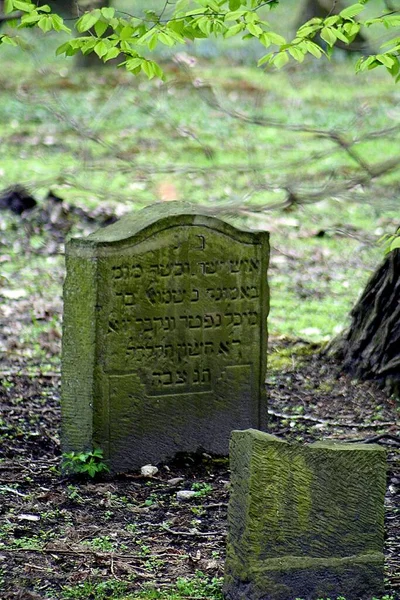 坟场里的旧石碑 — 图库照片
