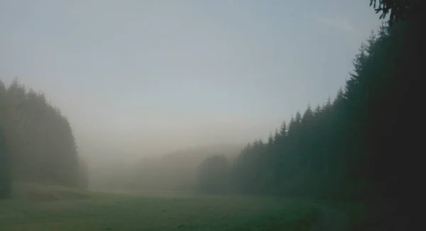 Noc Ustupuje Můžete Vidět Zde Docela Dobře — Stock fotografie